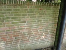 After repointing 2